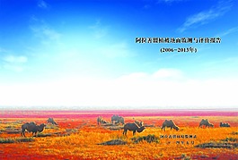 评估报告