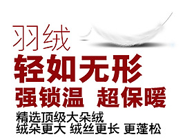 淘宝促销海报字体设计冬季羽绒服