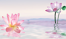 荷花