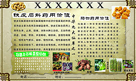 中华九大仙草之一玛咖石斛