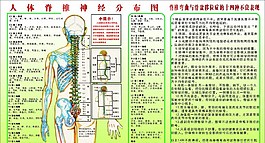 人体经络图图片
