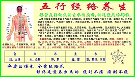 养身经络图片