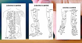 经络图图片