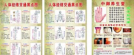 人体经络图图片