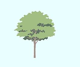 平面树