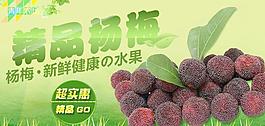 杨梅 精品杨梅