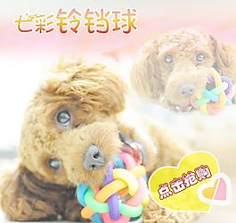 宠物玩具主图