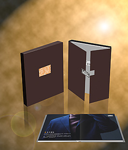 商务画册效果图