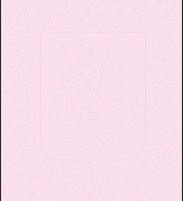 防伪花纹