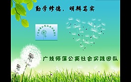 蒲公英三下乡汇报PPT