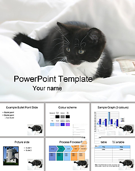 可爱猫咪ppt模板