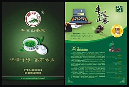 车云山茶业杂志内页