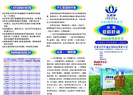 万利福宣传单图片