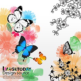 精美蝴蝶背景素材