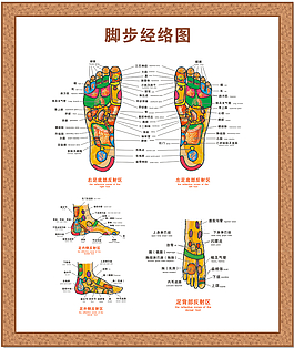 脚部经络图
