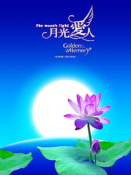 荷塘月色