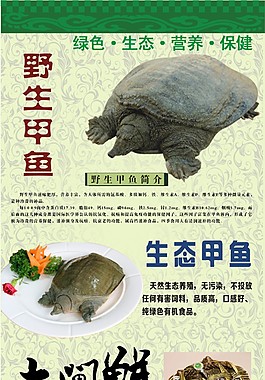 生态甲鱼大闸蟹
