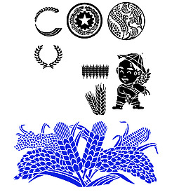 麦穗     麦子