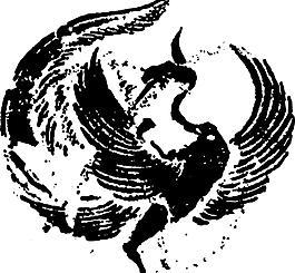 鸟 飞鸟 凤凰 矢量线