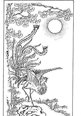 鸟 飞鸟 凤凰 矢量线