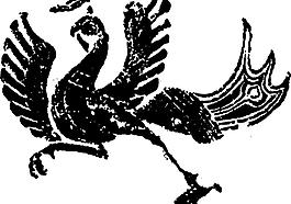 鸟 飞鸟 凤凰 矢量线