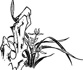 兰花 花草 花朵 矢量