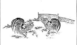 公鸡 斗鸡  线图 图腾