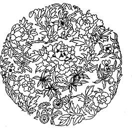 兰花 花草 花朵 矢量