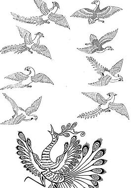 孔雀 凤凰 飞鸟 矢量