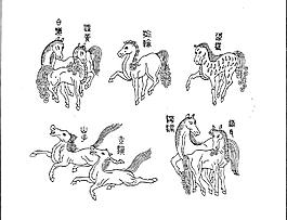 马 奔跑的马  线图 图