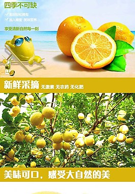 柠檬宝贝描述详情页