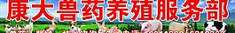 康大兽药