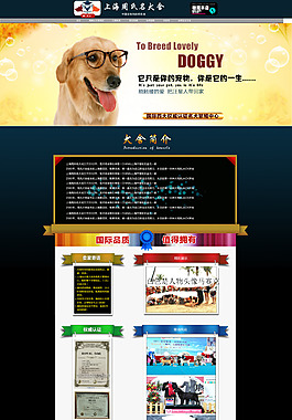 淘宝宠物店店铺装修