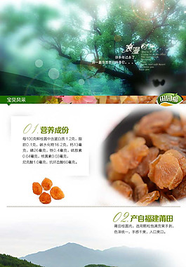 桂圆肉淘宝网页素材下载