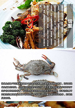 切蟹详情蟹类详情