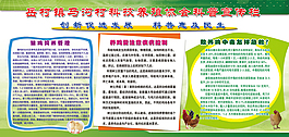 养鸡常识科普知识