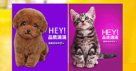 宠物海报