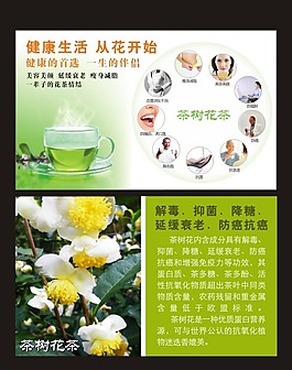 矢量绿色花茶说明卡