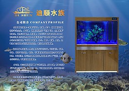 迪顺水族