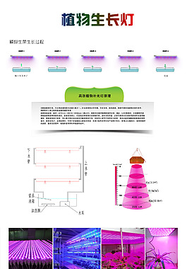 LED植物生长灯