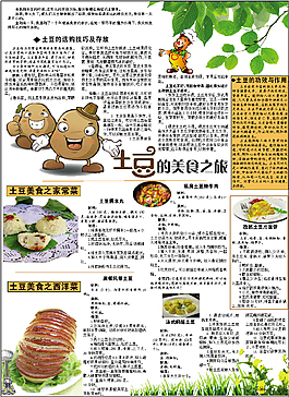生活美食报纸