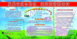 合作社  农村 农民