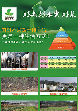 农产品展架