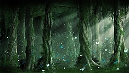梦幻树林插画
