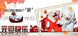 淘宝海报宠物贺元旦