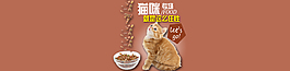 淘宝猫咪专场分类