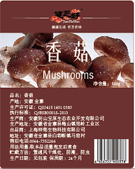香菇