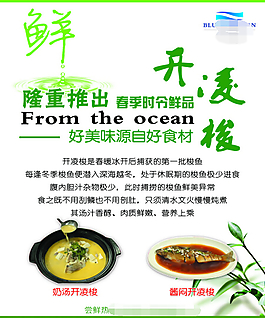 开凌梭菜品海报