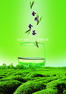 茶业海报