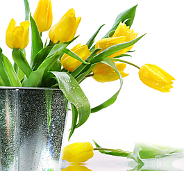 郁金香装饰画背景墙